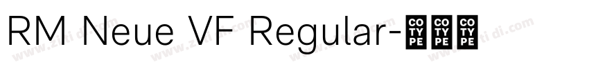 RM Neue VF Regular字体转换